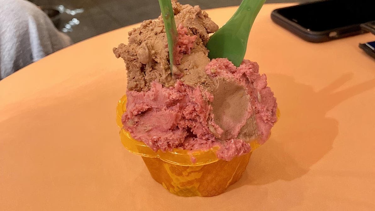 Nutty Squirrel Gelato by null
