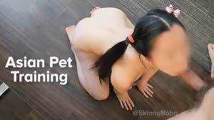 Asian pet slave jpg x Asian pet slave