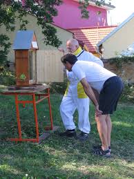 rajce.idnes.cz backyard|Tanker og følelser i sommeren | TikTok