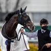 宝塚記念でタイトルホルダー、エフフォーリアらが激突/今週の競馬 ...