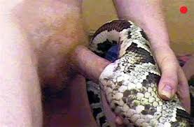 You get fucked and impregnated an eel and snake that you slmdgwfp jpg x Man fucks snake