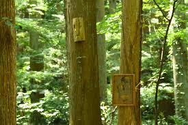 蜂の腰BBS|ハイビスカス 簡易糸張器具 どん引写 | 測量用品・計測用品の販売 株式会社ランドアート