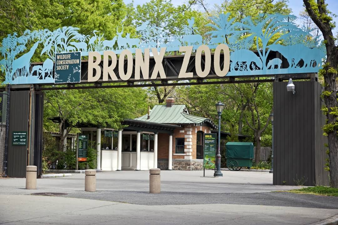 Bronx Zoo