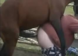 Anal penetration for a naughty horse jpg x Fucked by horse