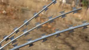 images?q=tbn:ANd9GcQuMyr9TMGx8Q5aLJTJxQqIExYjo2idFPtfVJetqtt8zOY-TXcn