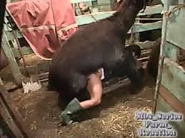 Girl getting fucked horse here porn jpg x Fucked by horse