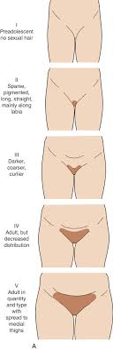 puberty pubic hair|Pubertal development and regulation - The Lancet Diabetes & Endocrinology