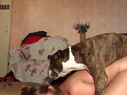 Girls getting fucked dogs jpg x Girls getting fucked by dogs