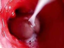 Inside cam creamy pussy free porn videos youporn jpg x Camera in pussy