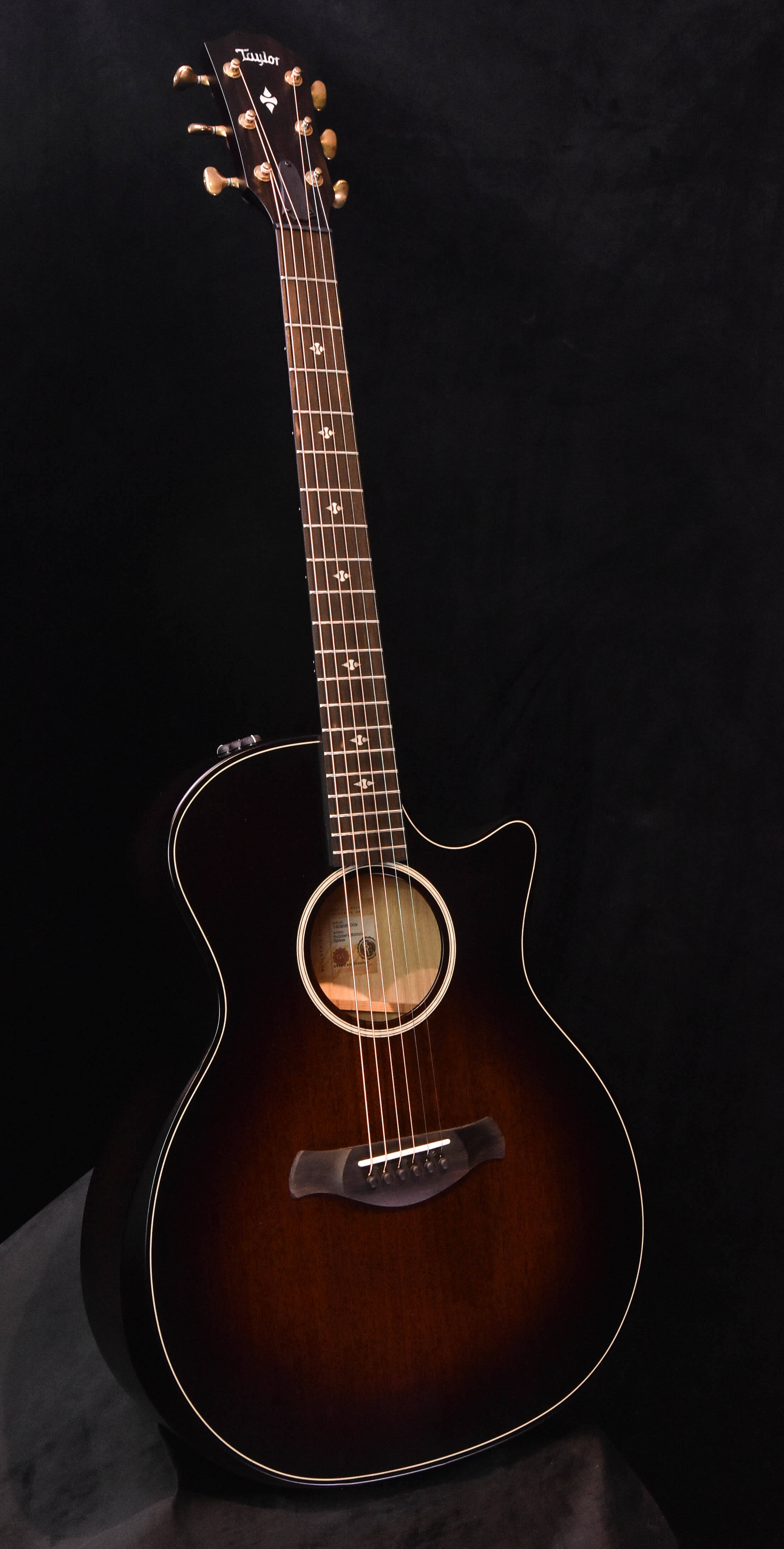 Taylor 324ce Builder's Edition