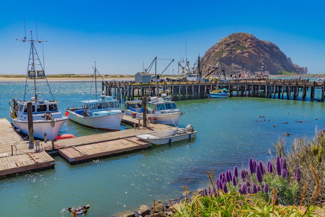 San Luis Obispo County by null