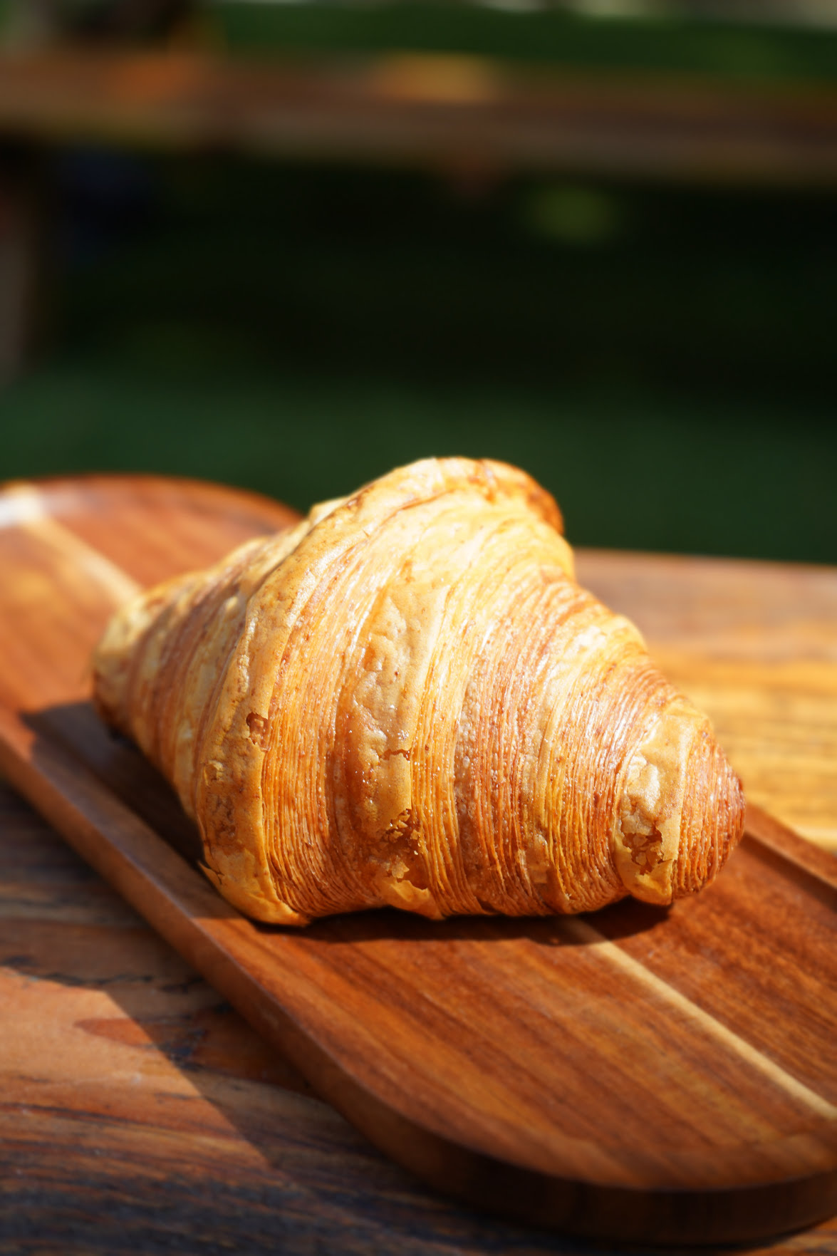 7even Seas Coffee Co. by null