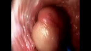 Penis vagina jpg x Penis vagina