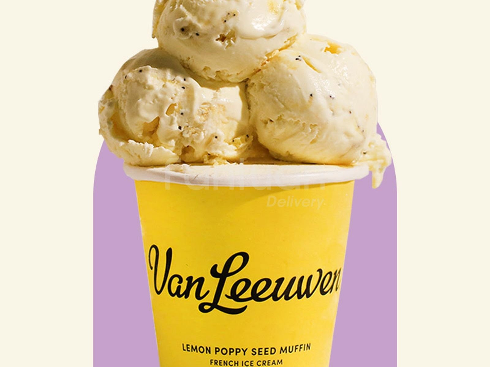 Van Leeuwen Ice Cream by Google