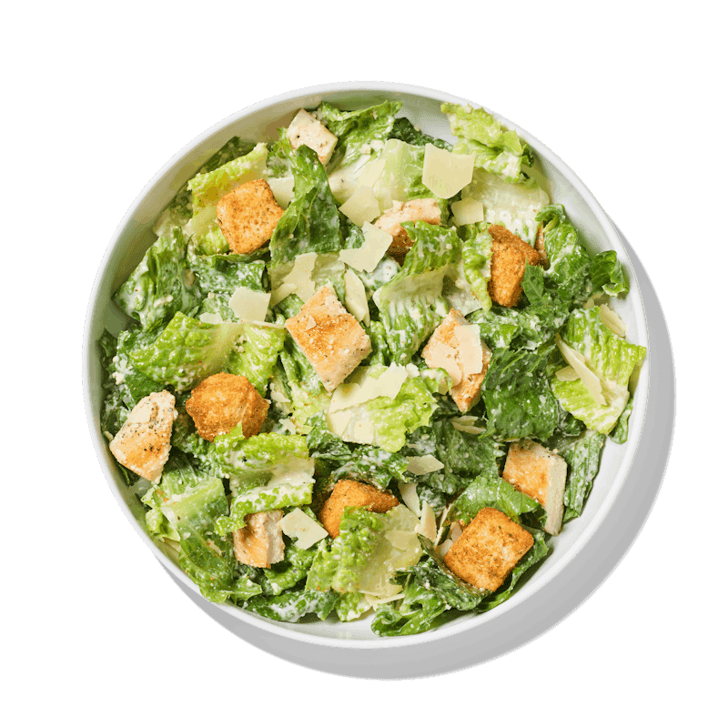 Noodles and Company by null