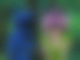 003 uncensored hentai|HHH Triple Ecchi Upscale - 03 - Hentai Uncensored - EPORNER