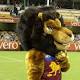 Brisbane Lions fans have chance to name new 'fierce and determined' mascot 