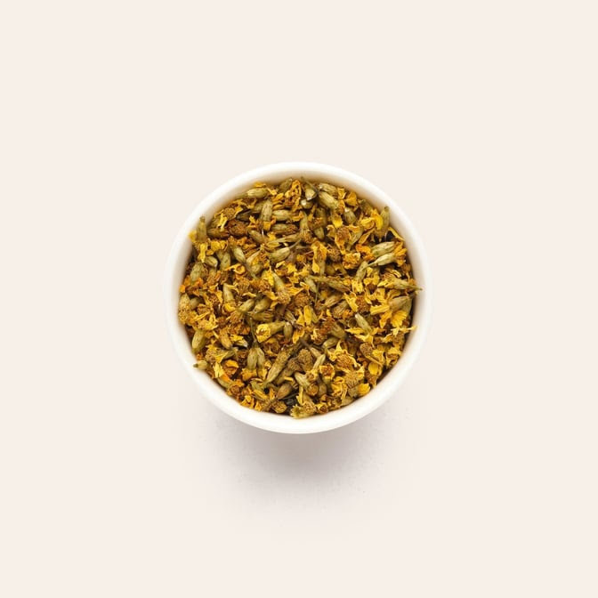 Torque Coffee by null