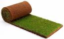 Sod Roll