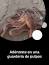 El fascinante mundo de los cefalópodos ile ilgili video