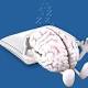 Mouse Study Suggests Brain Circuit Involved in Sleep-Wake Cycle 