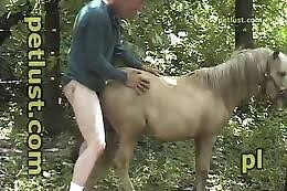 Man fucks horse hot sex with stallions mares and brutal guys and gays jpg x Guy fucks horse