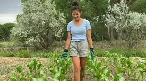 LS russianbare.com youth girls|パラドックス: フォルクスワーゲン ビートル フォグ リング 塗装