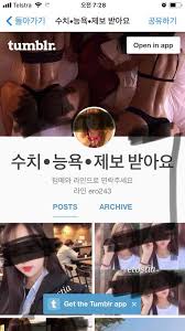 tumblr 제보|AI까지 동원…사진에서 영상으로 진화하는 '지인능욕' - 뉴스1