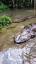 O Fascinante Mundo das Salamandras ile ilgili video