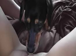 Whitney wisconsin fucking dildo singing standing up moaning jpg x Whitney wisconsin fuck