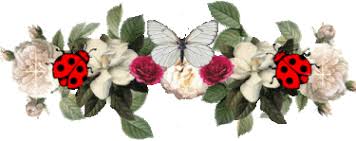 http://t1.gstatic.com/images?q=tbn:ANd9GcR1X1lMD4QgA8u0Qr4I68-pCx0rVKWFt5R-z-Zq89svcnOs9fkM