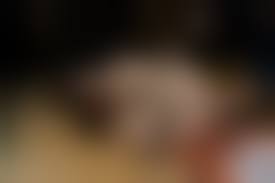 城井桃緊縛|美しき女性の緊縛美 (704) 和風の美女（4） : ko_c_sanのblog