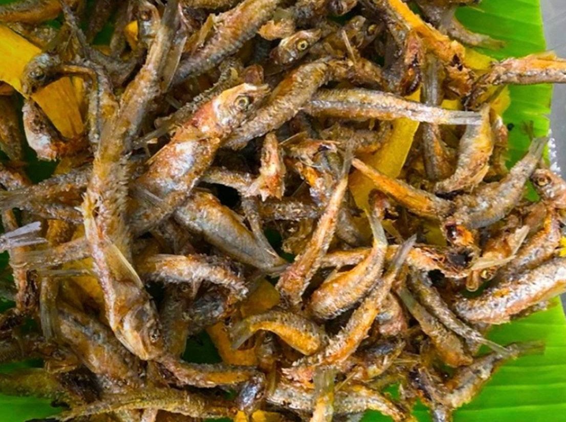 La Hola Beto's by null