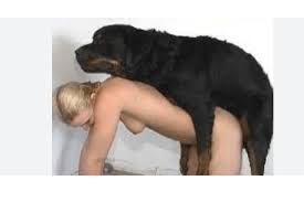 Ae ac young guy gets fucked his dog gaybeast com siterip jpg x Guy fucked by dog