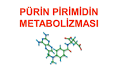 Tıbbi Kimyada Lipitlerin Metabolizması ile ilgili video