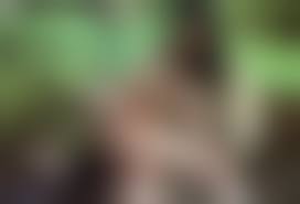 mayu hanasaki nude photo|Mayu hanasaki - 66 porn photo