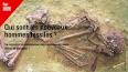 Le Fascinant Monde des Fossiles ile ilgili video