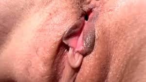 Vagina close up porn videos jpg x Vagina pussy close up