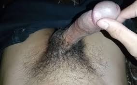 Free porn videos sex movies porno porn tube pornhub jpg x Born hub