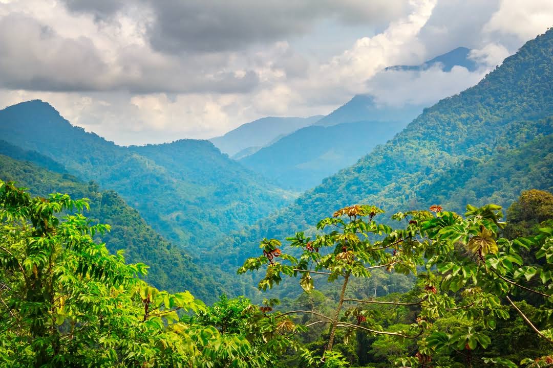 Sierra Nevada de Santa Marta by null