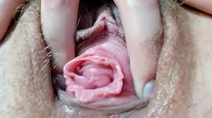 Teen pussy close up porn pic eporner jpg x Pussy play close up teen