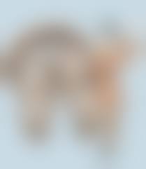 スーパー逆さ撮り|中古】《希少！初期号》クリーム Cream 1994年6月号 女子高生 制服パンチラ ブルマ チアガール逆さ撮り セクシーアクション 投稿写真  お菓子系の落札情報詳細 - Yahoo!オークション落札価格検索 オークフリー