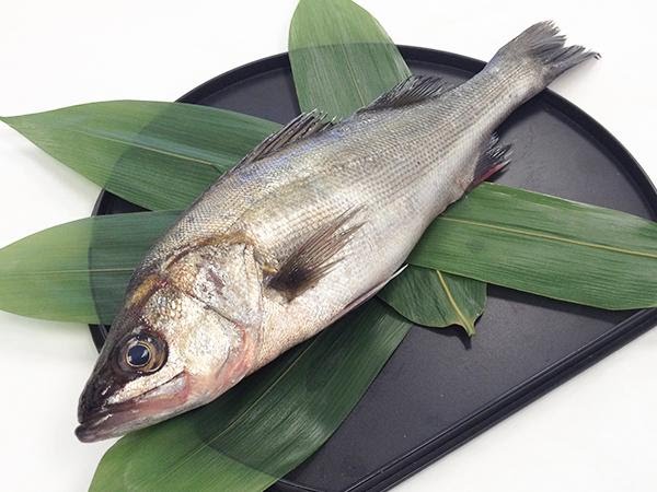 KamadoSushi,Omakase,$60orMoreFreeDeliveryByToast by null