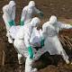 Small Percentage of Ebola Patients Found Responsible for Most Cases in Epidemic 