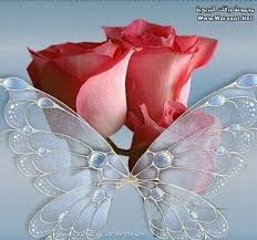 ��� ��������  , ��� �� , ��� �������� ����� 2017 images?q=tbn:ANd9GcR