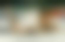 namansite nudism girl nude|1,909 Nudism Images, Stock Photos, and Vectors | Shutterstock