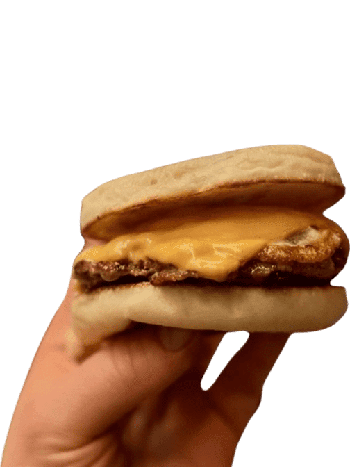 Ugly Duckling Maine by null