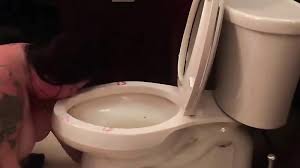 Toilet fetish jpg x Toilet fetish