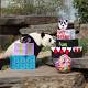 Adelaide Zoo holds party for giant panda Fu Ni's ninth birthday as breeding ... 