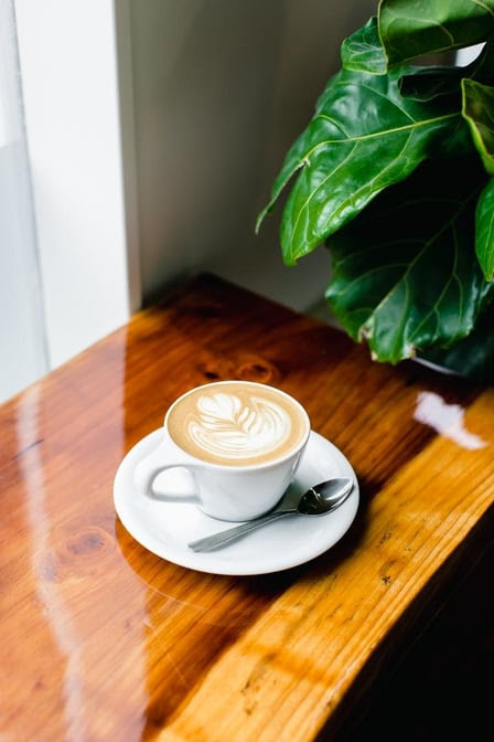 The Bagel Mill by null